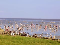 -南汇新城海滩