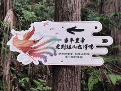 -凤栖山
