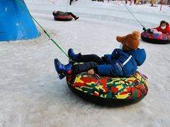 -沈阳奥体冰雪嘉年华