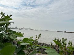 -上海滨江森林公园