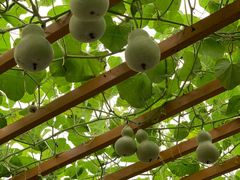 -中国天府农业博览园