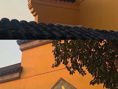 -鸡鸣赐茶(鸡鸣寺路店)