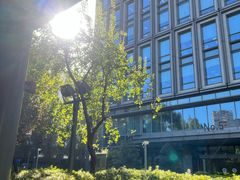 -陆家嘴世纪金融广场