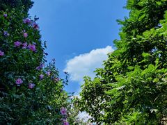 -昆嵛山石门里景区