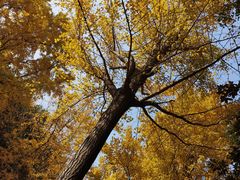 -苏州河梦清园环保主题公园