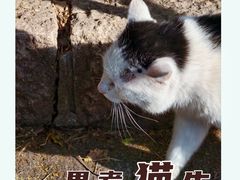 -北京十三陵国家森林公园蟒山景区