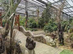 -呀路古热带植物园