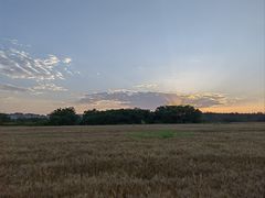 -汉长安城未央宫国家考古遗址公园