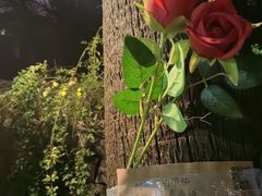 -圣爵菲斯大酒店(长沙世界之窗店)