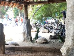 -广州长隆飞鸟乐园