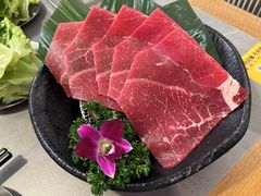-杨小佳·齐齐哈尔烤肉·烤串(广州店)