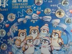 -海合安武汉极地海洋公园