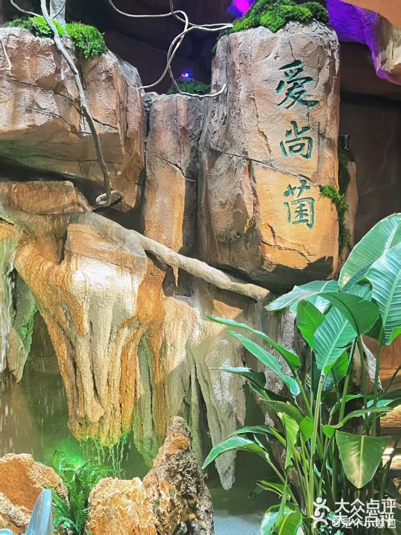 我的火锅我做主