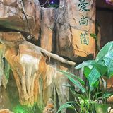 我的火锅我做主