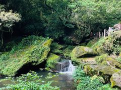 -碧峰峡风景区