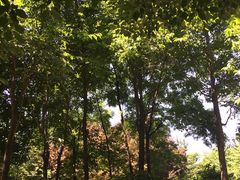 -宝鸡植物园