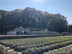 -古田会议纪念馆
