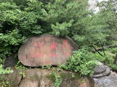 -五营红松林海景区