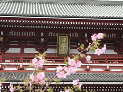 -浅草寺
