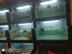 -蒲叙(凯天国际店)