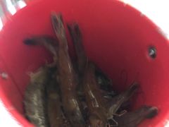 -佰园全日西餐厅-厦门佰翔软件园酒店