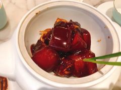 -蝶园·装修中(BFC外滩金融中心店)