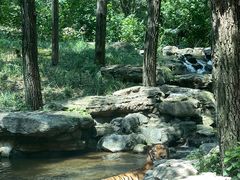 -北京野生动物园