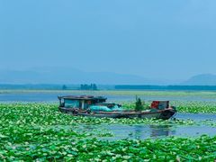 -微山湖红荷湿地景区