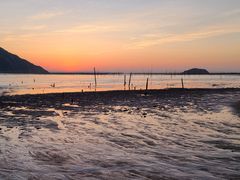 -北岐滩涂