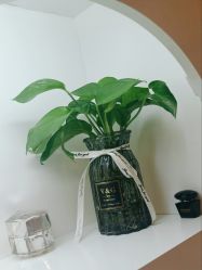 -美肤盾祛痘·问题肌头疗管理中心