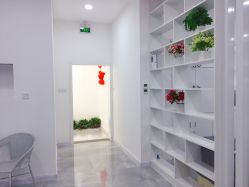 -莱可美科技美肤