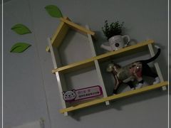 -瑞派先诺宠物医院•猫专科•普外科•中兽医(佛山院)