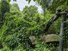 -严子陵钓台(富春江小三峡)