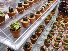 -KKV(深圳宏发大仟里店)