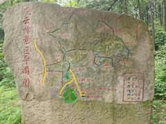 -鲁山国家森林公园