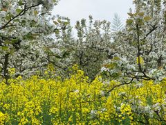 -苏州上方山国家森林公园