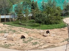 -青藏高原野生动物园