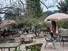 -桃源山庄·水蜜桃采摘·柴火鸡·烧烤团建(龙泉山店)