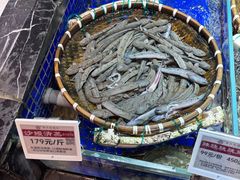 -高佳庄·舟山海鲜(海景旗舰店)