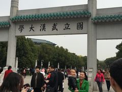 -武汉大学-樱园
