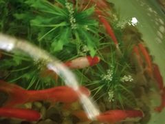 -苏荷SOHO酒吧(越秀旗舰店)