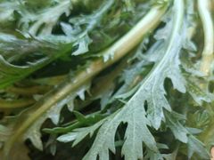 -老员外骨汤火锅(海州古城店)