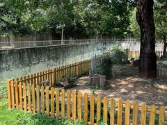 -合肥野生动物园