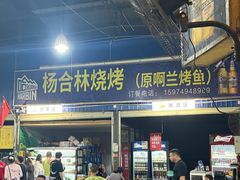 -杨合林啊兰烤鱼