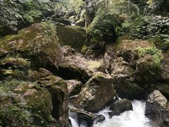 -龙苍沟森林公园