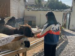 -HERRE·FARM 赫尔露营农场·团建聚会包场