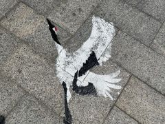 -盐城丹顶鹤湿地生态旅游区