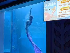 -中央电视塔旋转餐厅