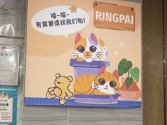 -瑞派名望志远动物医院·猫科·內科·异宠专科(直港大道店)