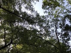 -北京国子监胡同